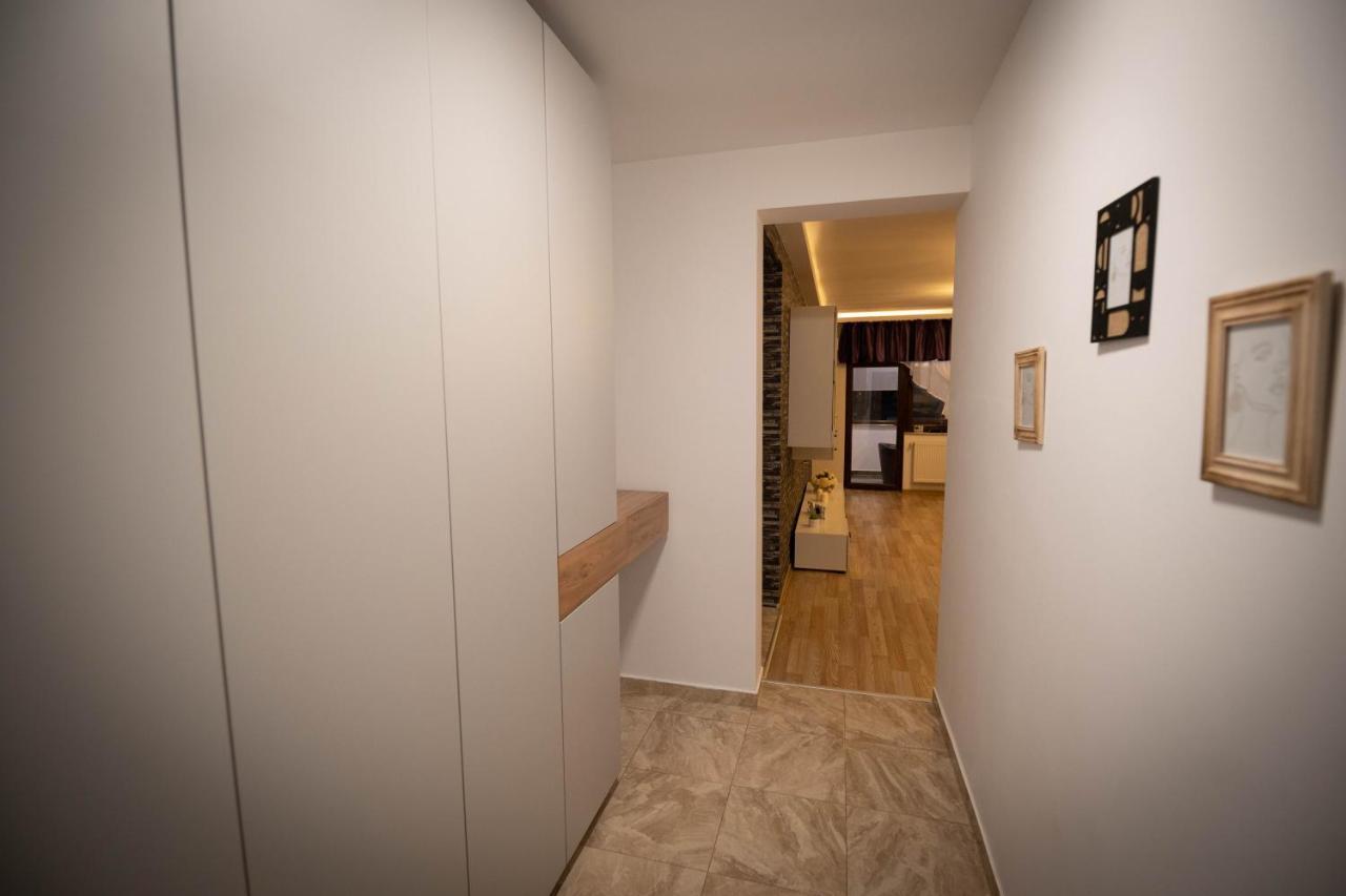 Isaran Coresi Apartment 布拉索夫 外观 照片