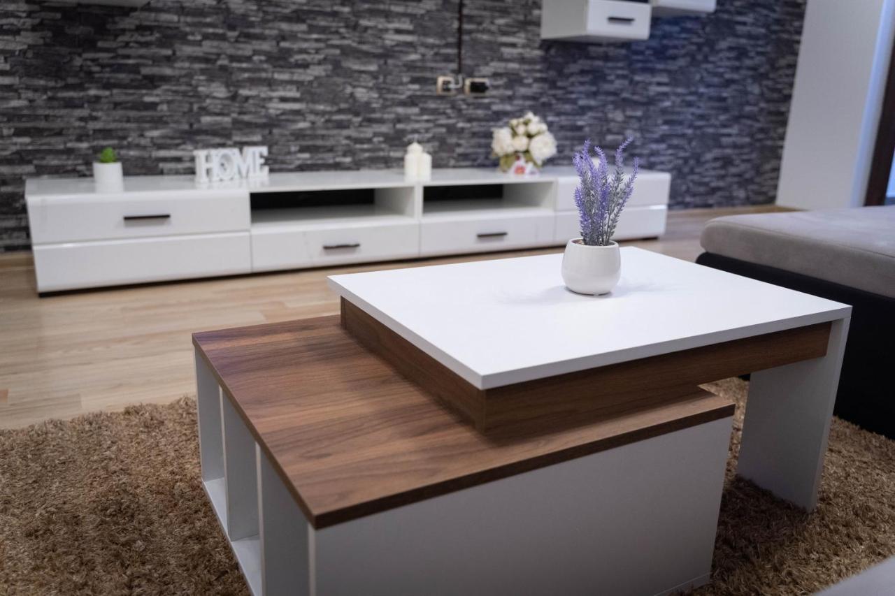 Isaran Coresi Apartment 布拉索夫 外观 照片