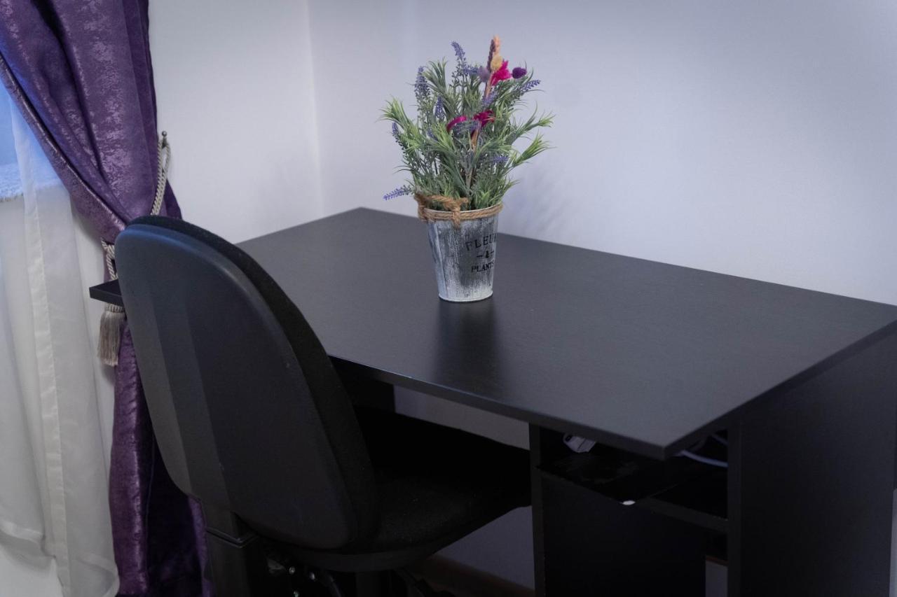 Isaran Coresi Apartment 布拉索夫 外观 照片