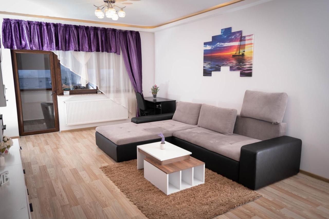 Isaran Coresi Apartment 布拉索夫 外观 照片